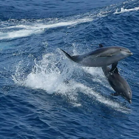 Cerro E Mar Lejlighed