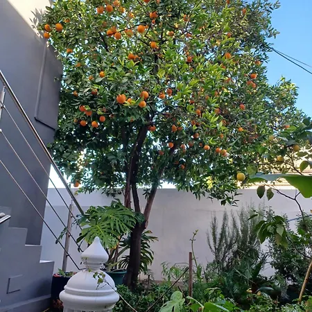 Cerro E Mar * Moncarapacho