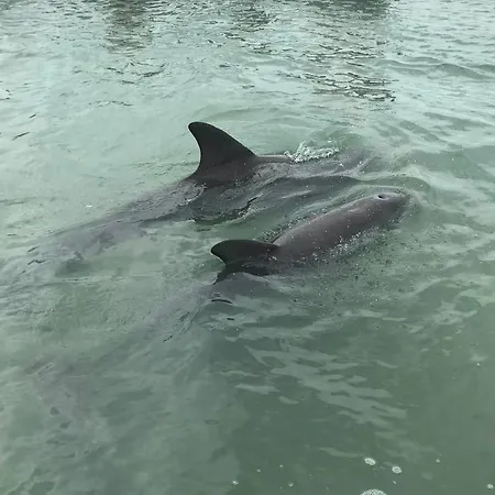 شقة Cerro E Mar *