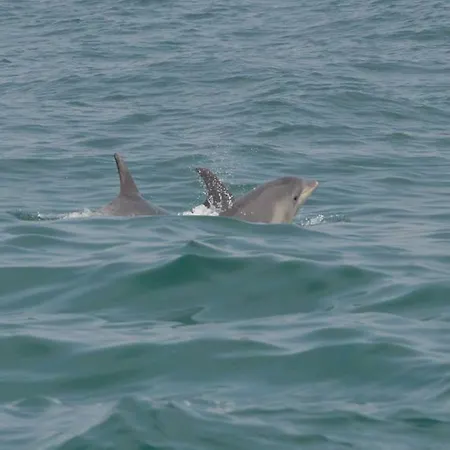 Cerro E Mar مونكاراباشو
