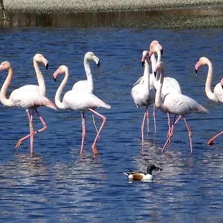 Cerro E Mar Appartamento