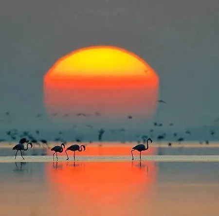 Cerro E Mar مونكاراباشو