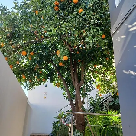 Cerro E Mar شقة مونكاراباشو